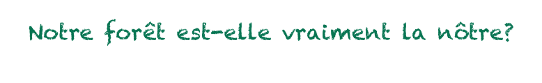 Notre forêt est-elle vraiment la nôtre?