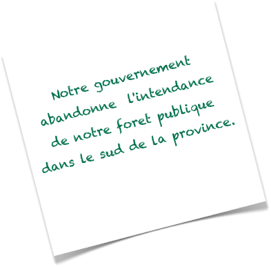 Épisode 27 est affichée!
Notre gouvernement abandonne  l'intendance de notre foret publique dans le sud de la province.